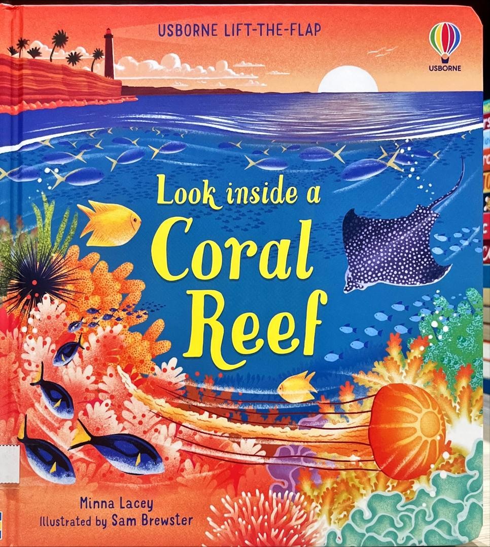 Look inside a Coral Reef