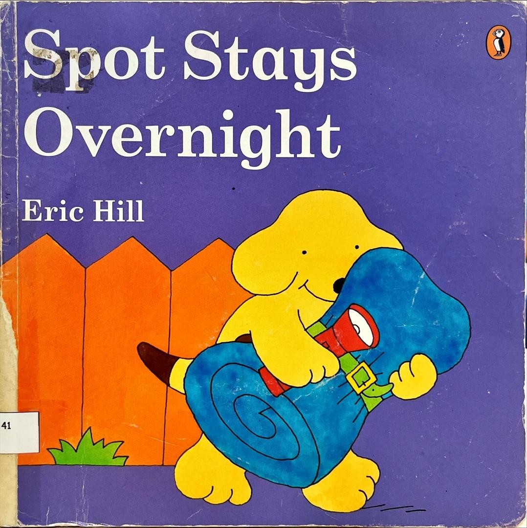 Spot Stays Overnight