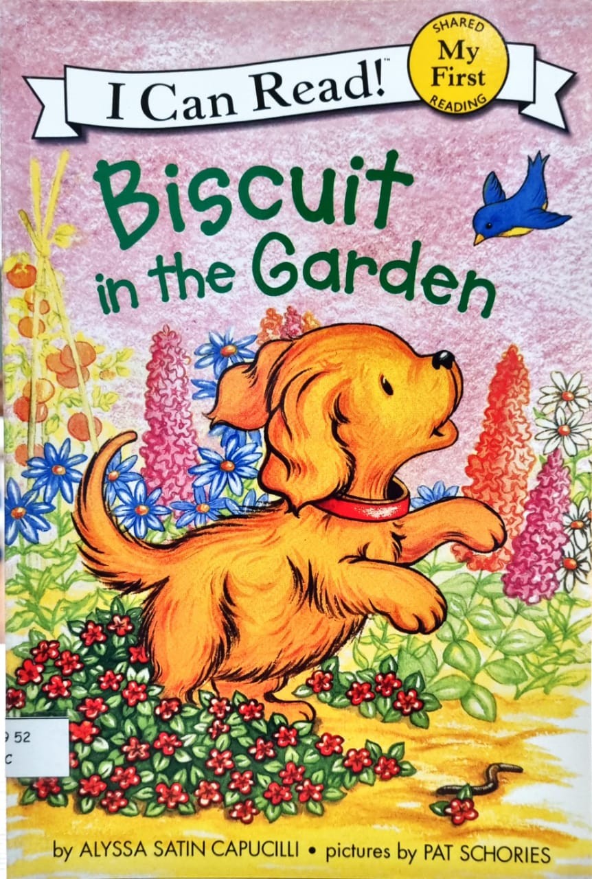 Biscuit in the Garden