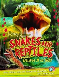 Snakes and reptiles