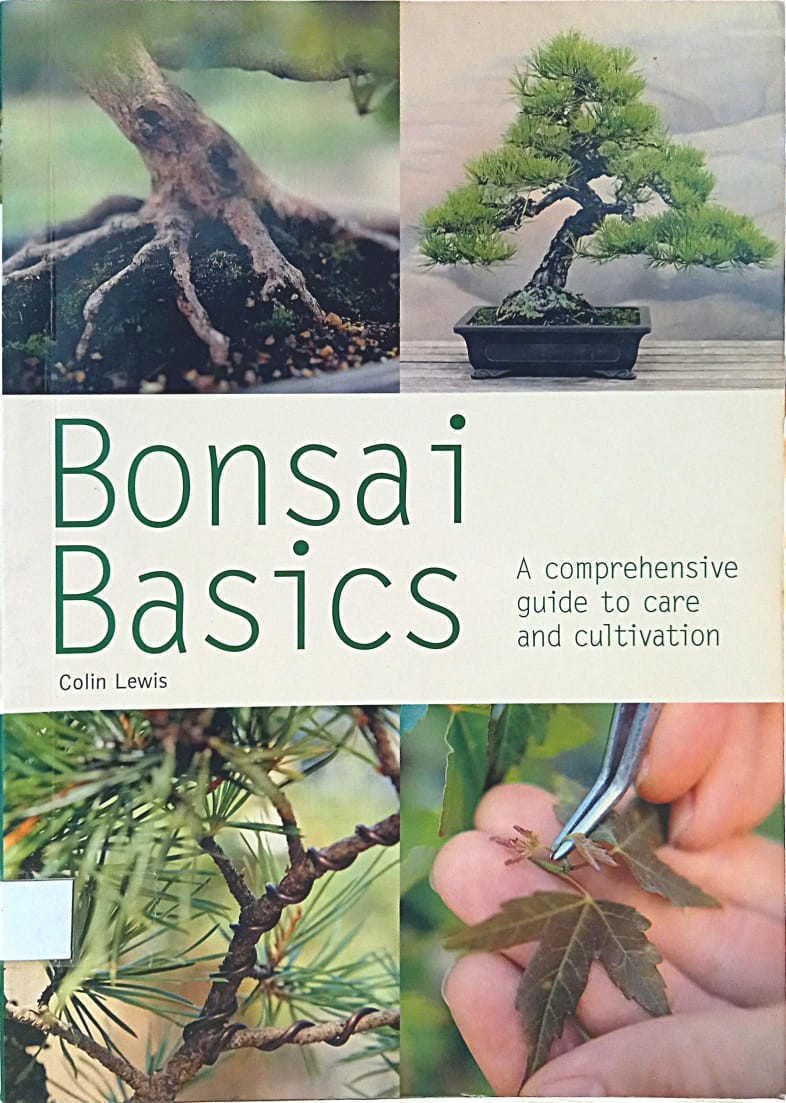 Bonsai Basics