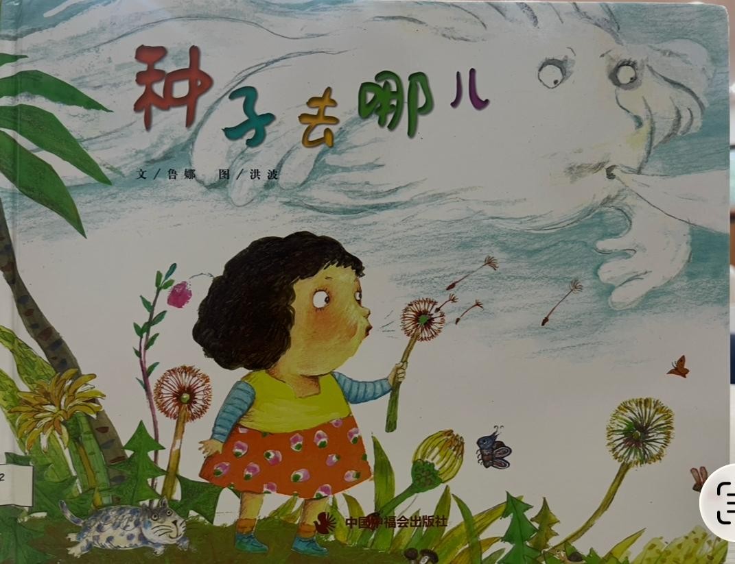 種子去哪兒