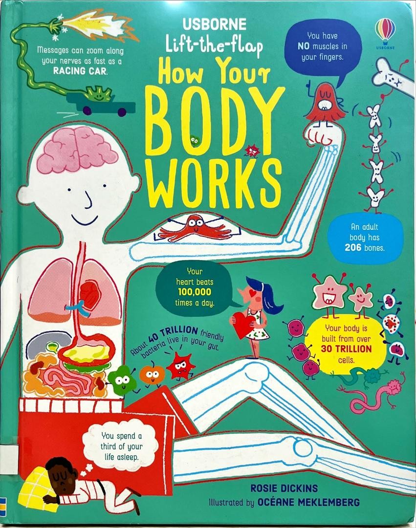 How Your Body Works