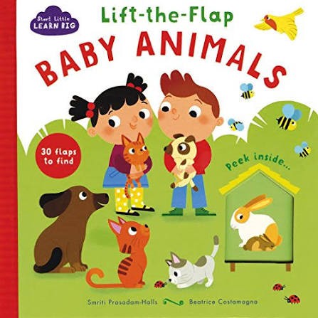 Baby Animals