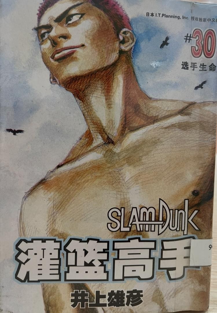 Slam Dunk 灌籃高手 # 30 選手生命