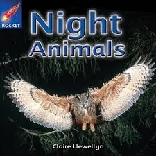 Night animals