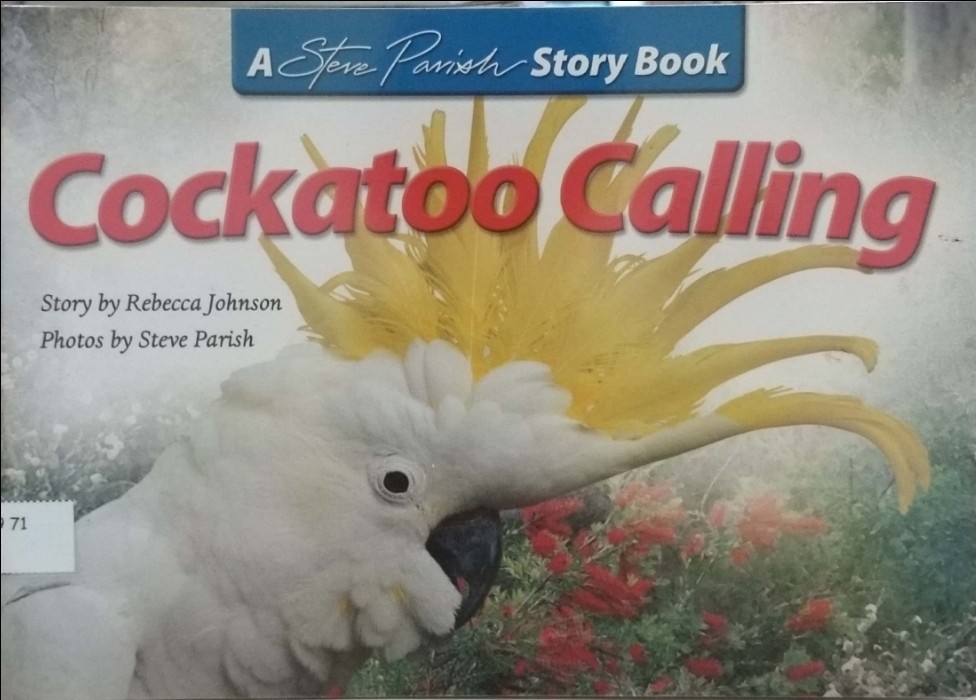 Cockatoo Calling