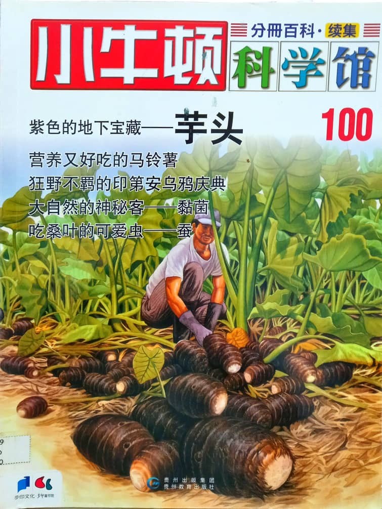 小牛顿科学馆 100 芋头