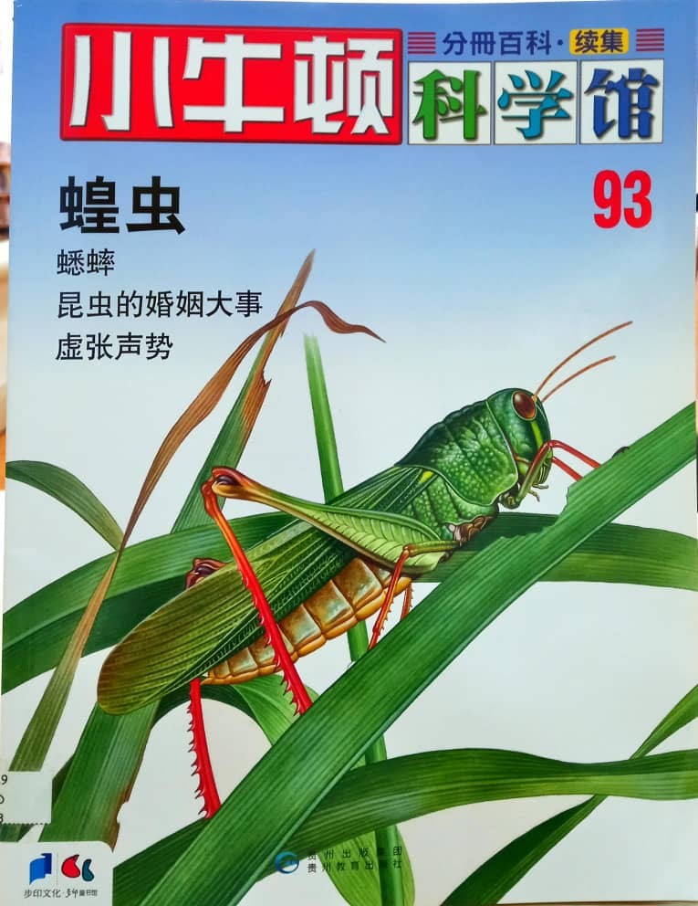 小牛顿科学馆 93 蝗虫