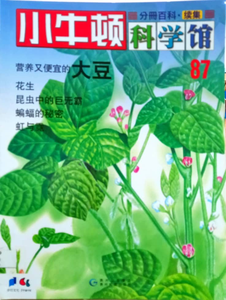 小牛顿科学馆 87 大豆