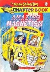 Amazing magnetism #12