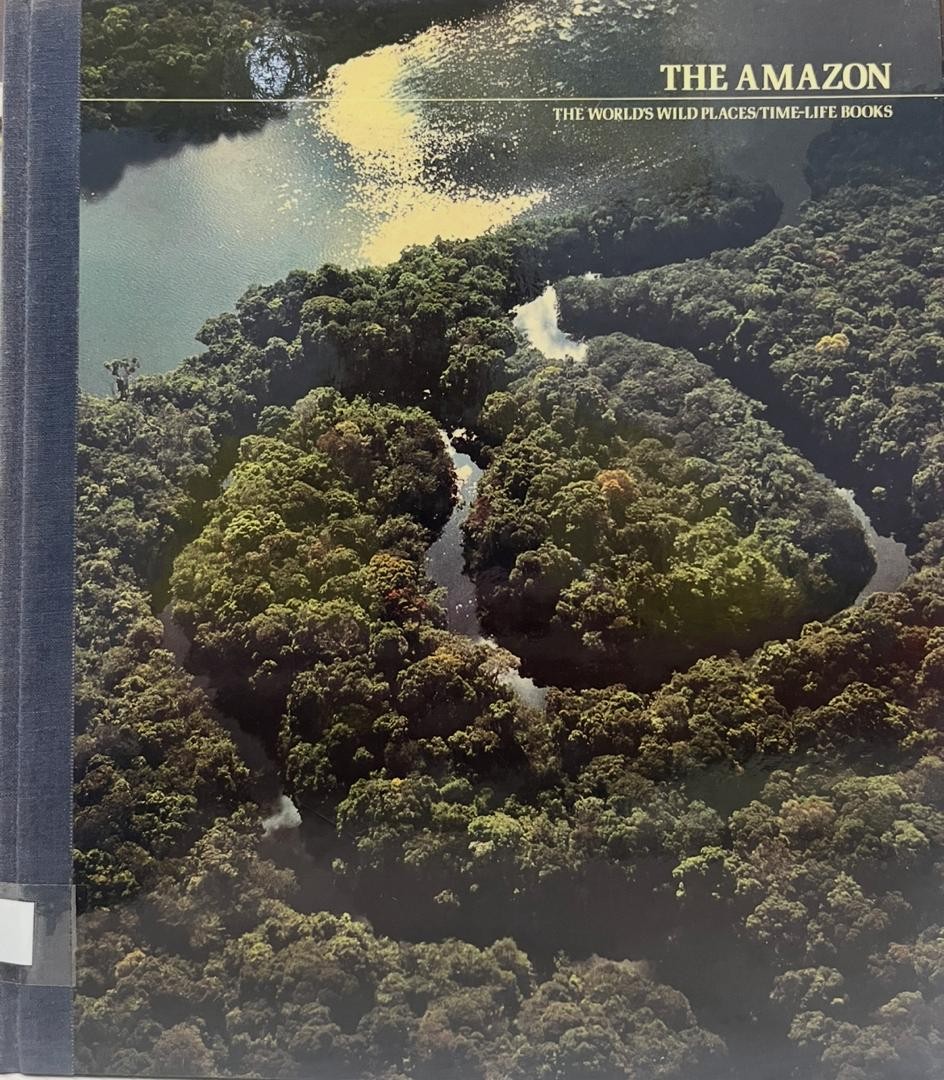 The Amazon