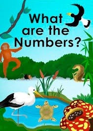 What are the numbers?