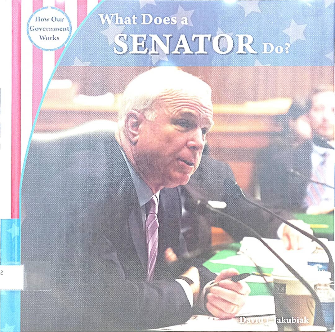 What Does A Senator Do?