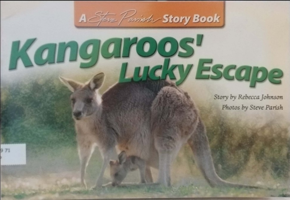 Kangaroos' Lucky Escape