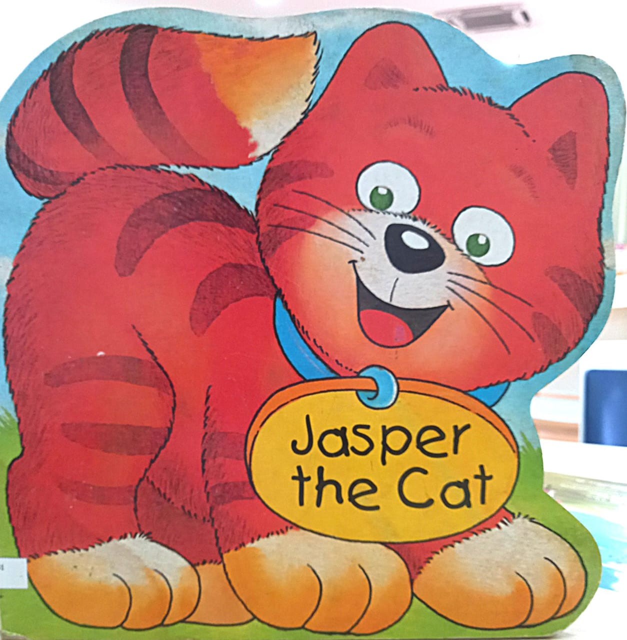 Jasper The Cat