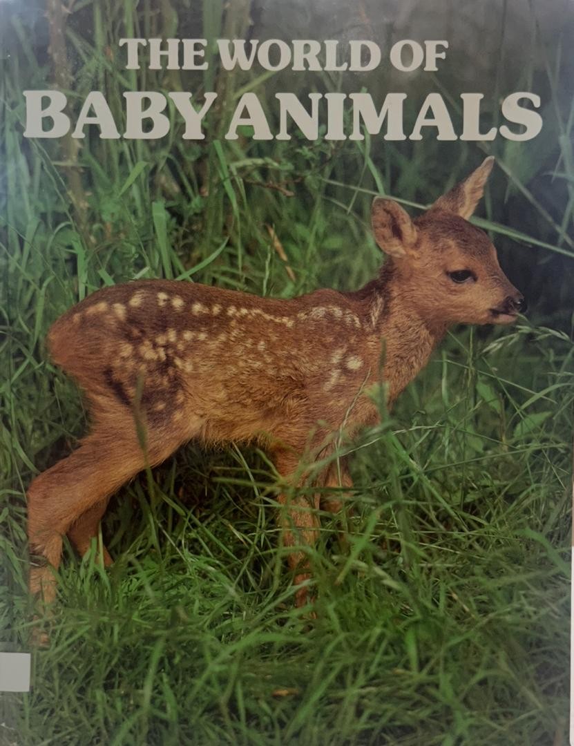The World of Baby Animals