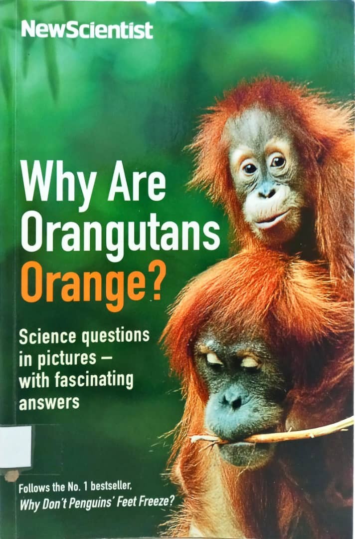 Why Are Orangutan Orange?