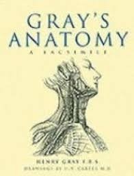 Gray's Anatomy: descriptive and surgical