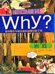 Why? 岩洞