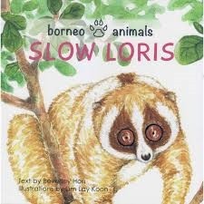 Slow Loris