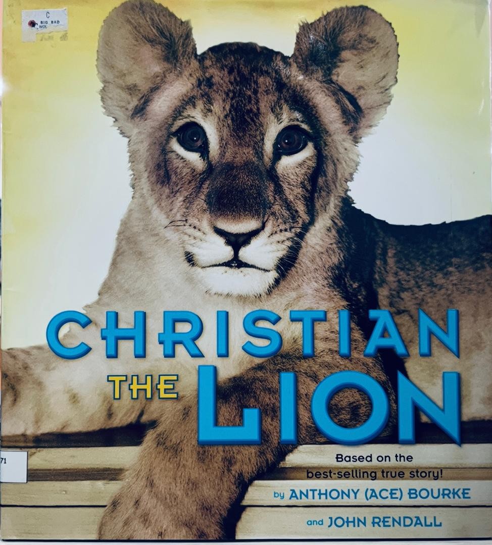Christian The Lion