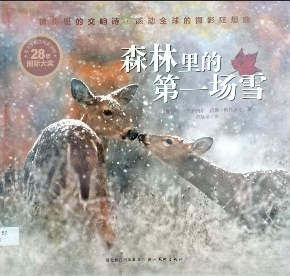 森林裡的第一場雪