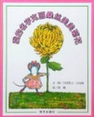 我的名字克丽桑丝美美菊花