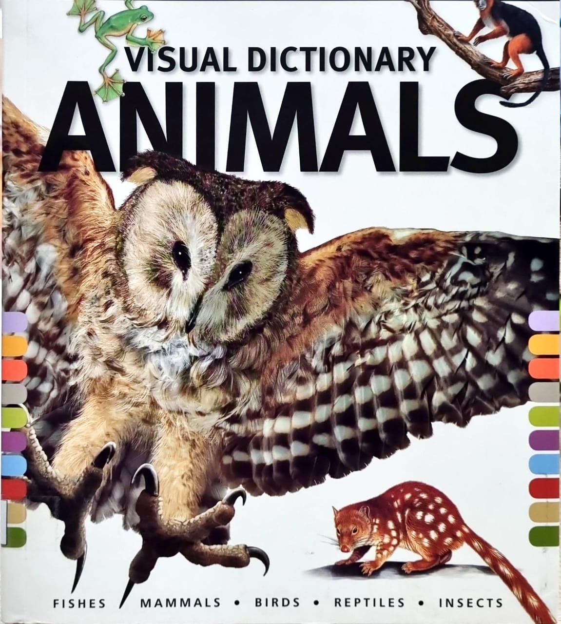 Visual Dictionary Animals