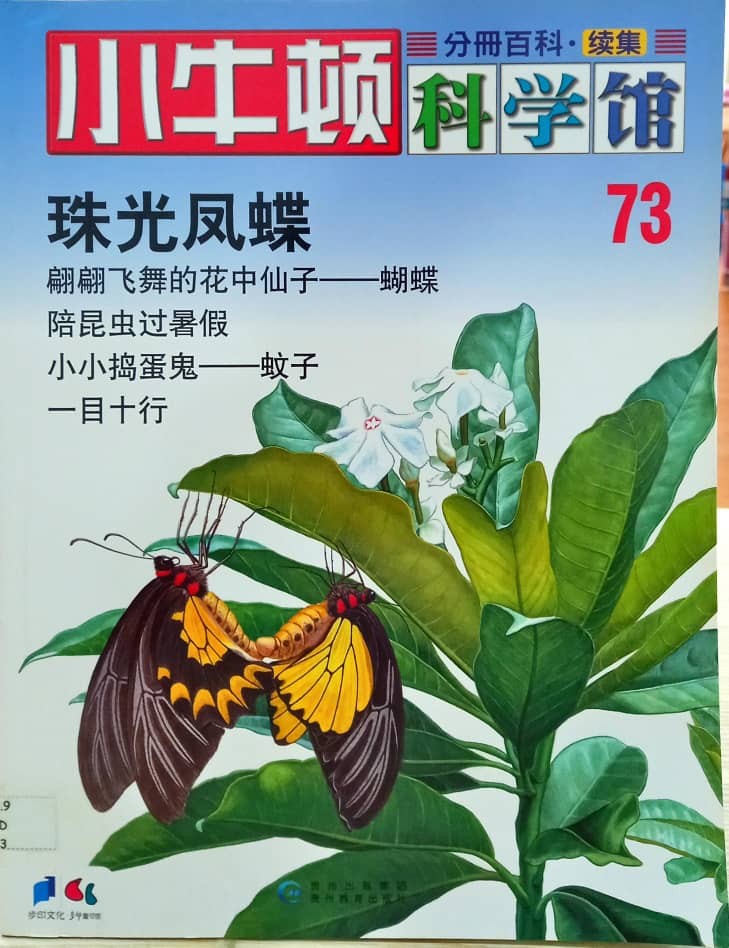 小牛顿科学馆 73 珠光凤蝶