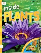 Inside plants