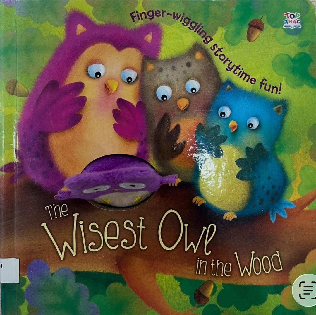 The Wisest Owl in the Wood