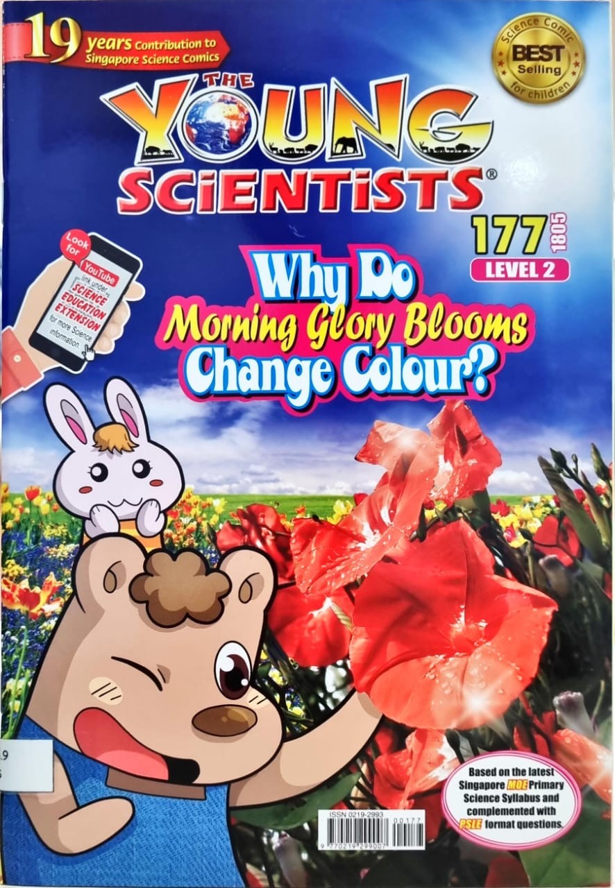 The Young Scientists Level 2 177 Why Do Morning Glory Blooms Change Colour?