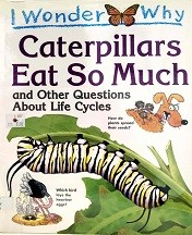 I wonder why caterpillars eat so much : and other questions about life cycles