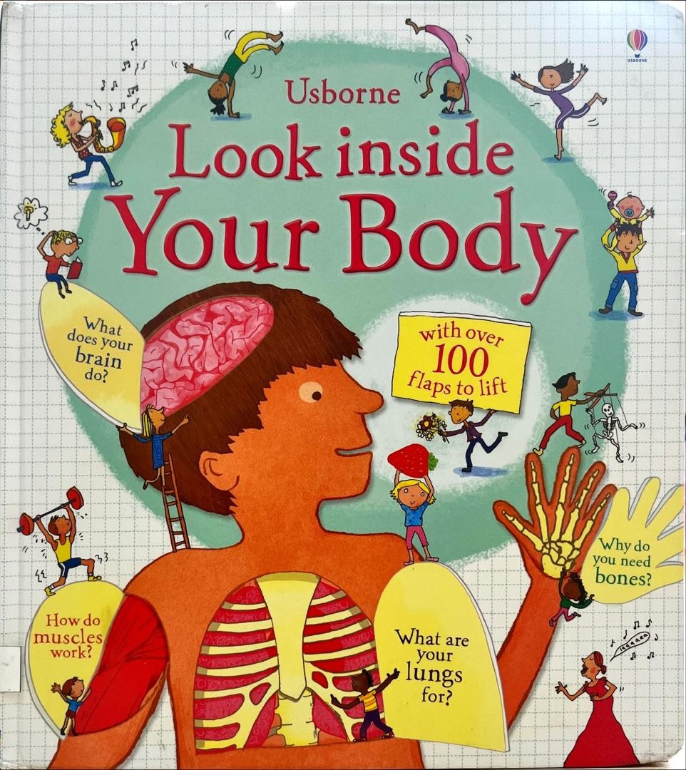 Look Inside Your Body