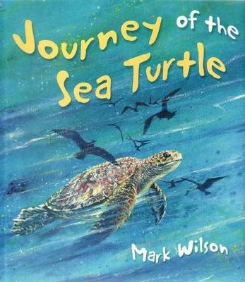 Journey of a sea turtle